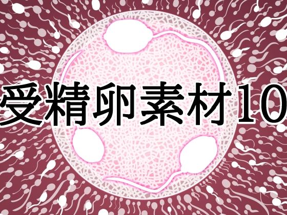 d 832158pl